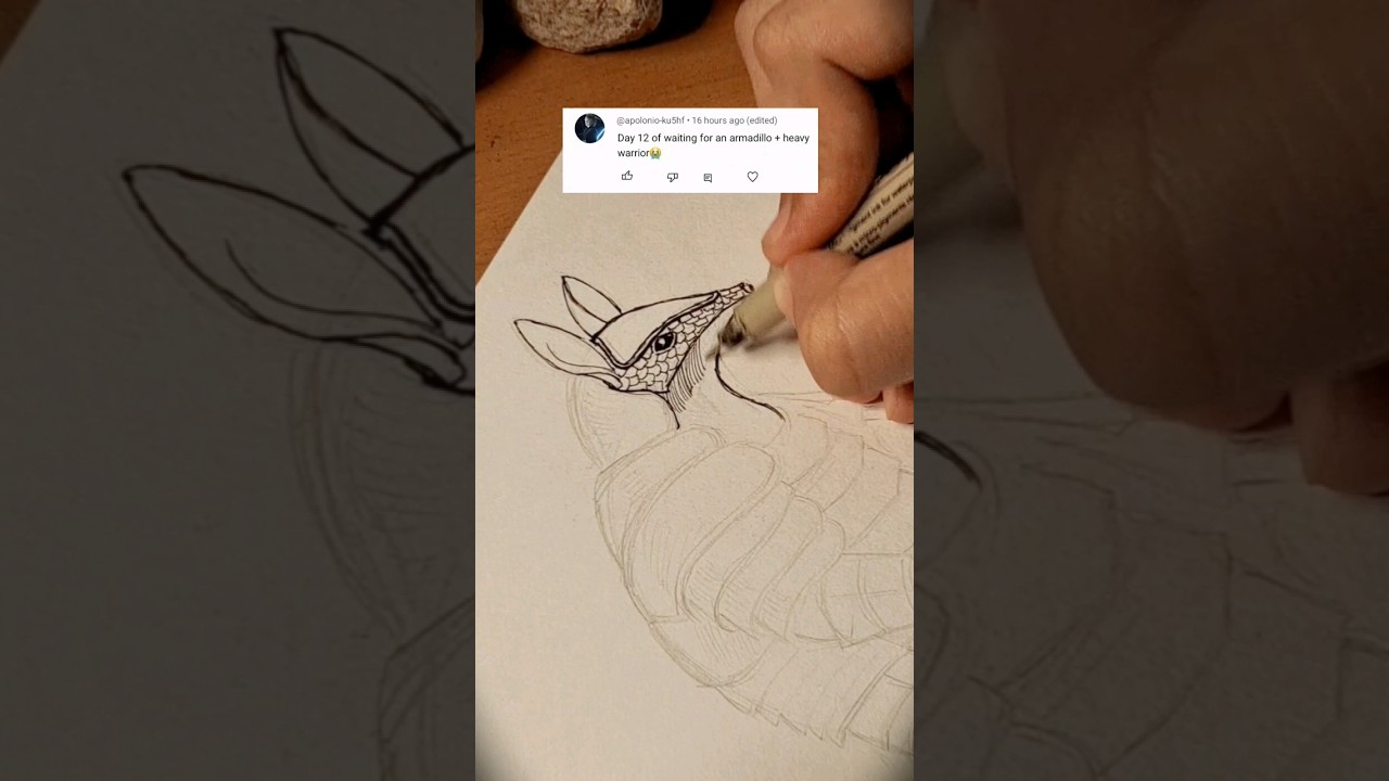 Day-17 armadillo + warrior 