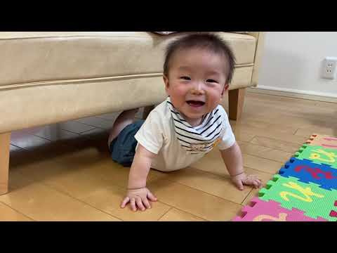 生後6ヶ月 赤ちゃん 自閉症