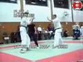 Ashihara karate knockouts