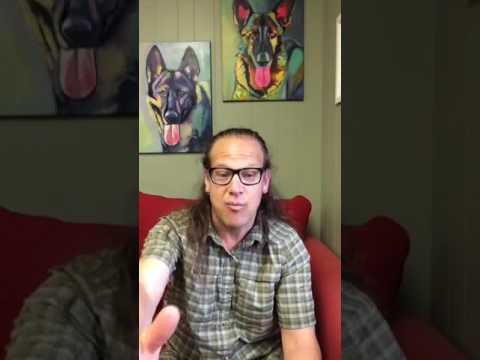 dog trainer in delhi Motivation | I've been to 3 trainers and none could train the dog | Solid K9 Training Dog Training