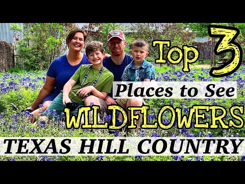 Vídeo: Como encontrar flores silvestres no Texas Hill Country