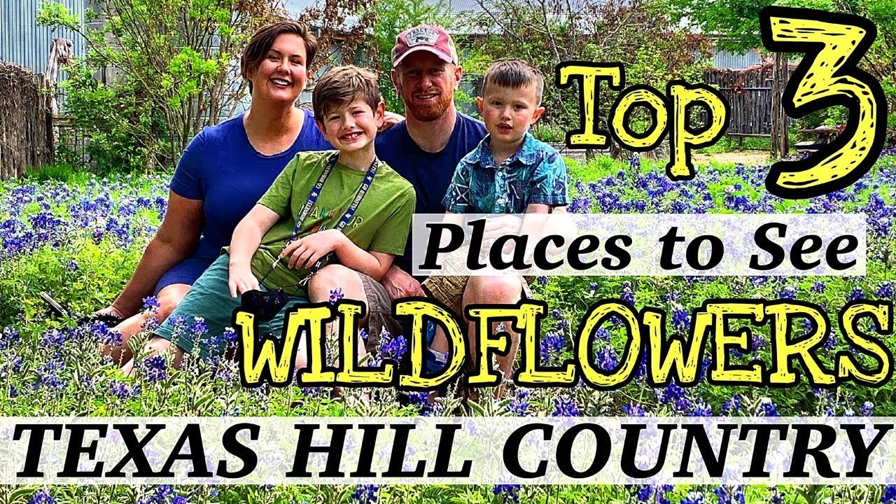 Where Are The Bluebonnets In Texas 2020?
