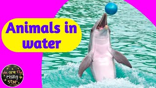 Animals in water | Water Animals with live examples | WATRstar