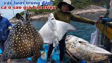 tập 40 - nghề lưới ba lớp dính đa hệ của ngư dân và cách chế biến cá ó sao đắt tiền của ngư dân