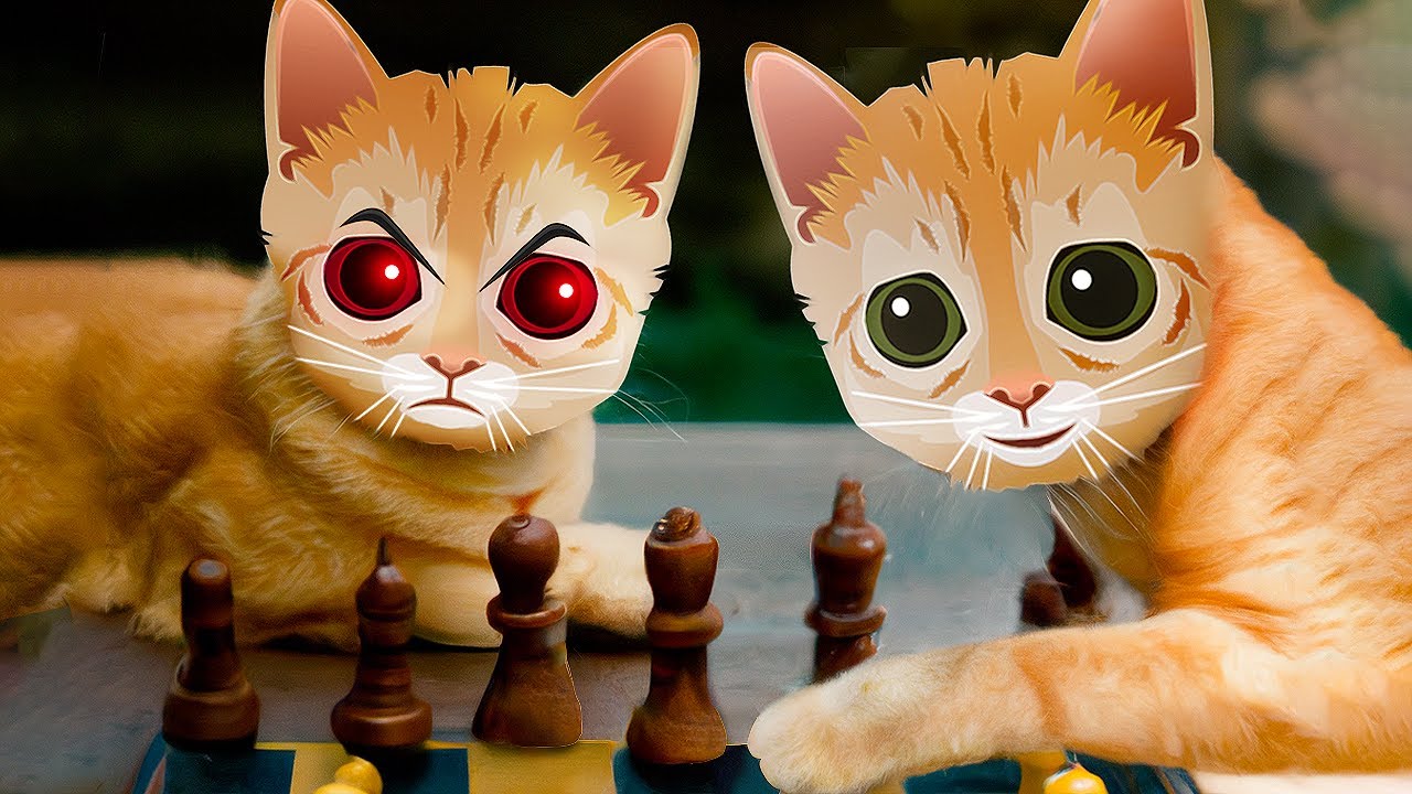 Mittens won't scare if you have ChessBotX! - Chess Bot