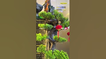 TIỂU CẢNH THÁC NƯỚC PHONG THUỶ TAKA HOME | Sầm Văn Tiế