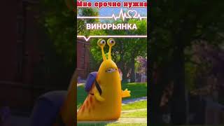 трудный день...