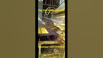 Intelligent egg tray machine, egg tray process at a glance! 🍳✨ #eggtray #eggtraymachine #eggcarton