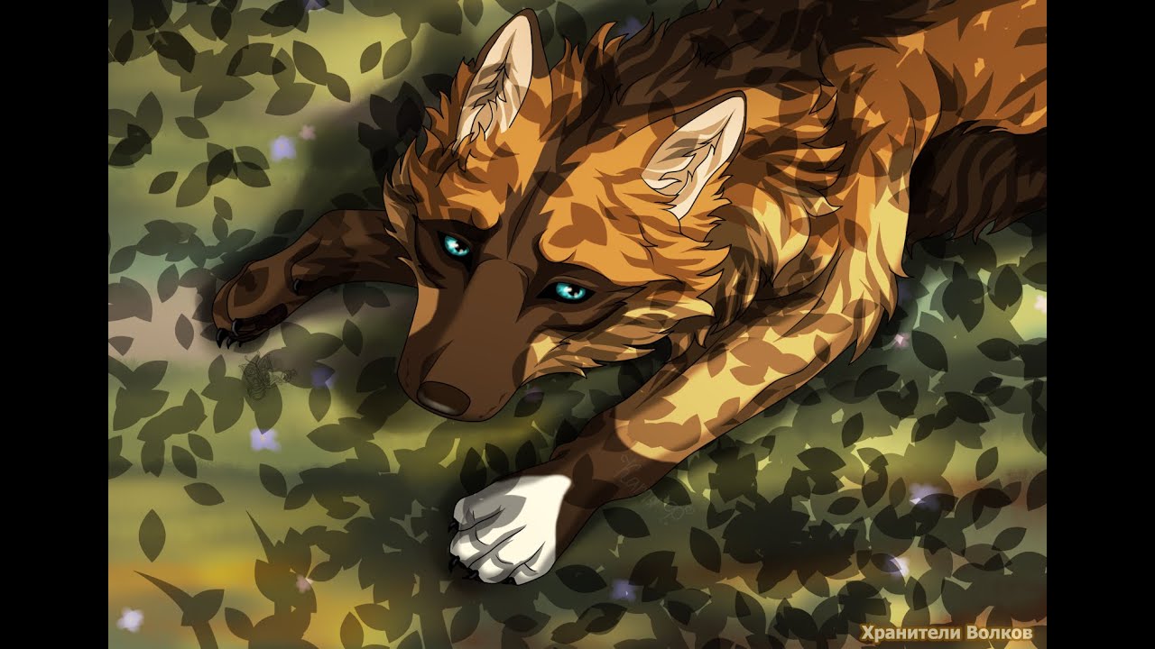 Картинки хранители волков