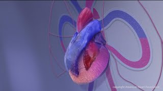 A San Diego star tennis player's battle with Atrial Fibrilation