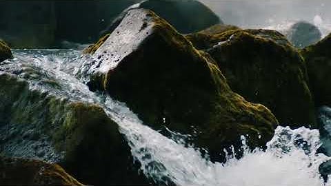 This video shows viewers how important it is to protect the environment,