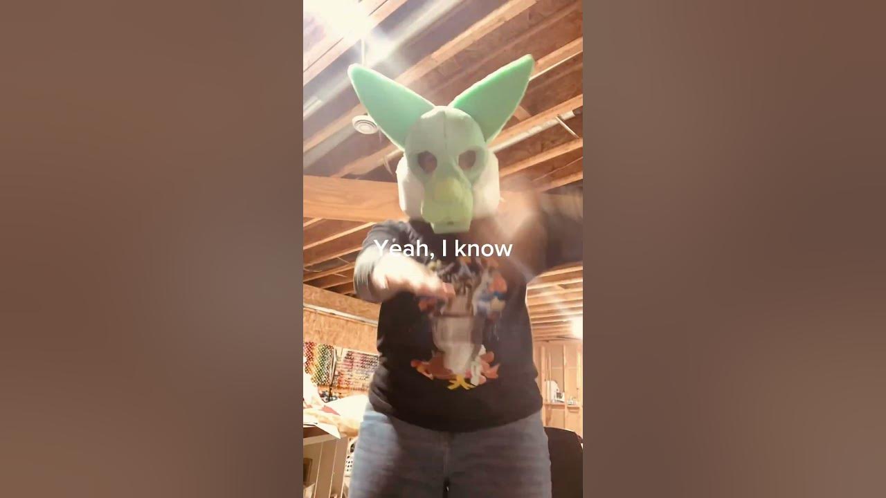 When people think furry is an insult antizoo furries dontcare 