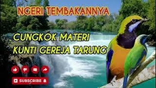 CUNGKOK   SUARA AIR || NGERI NEMBAK KUNTI G3R3JA T4RUNG || MASTERAN ANTI STR3SSSS