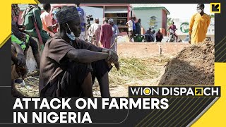 Full 13 Farmers Killed By Boko Haram Militants In Northeast Nigeria | WION News