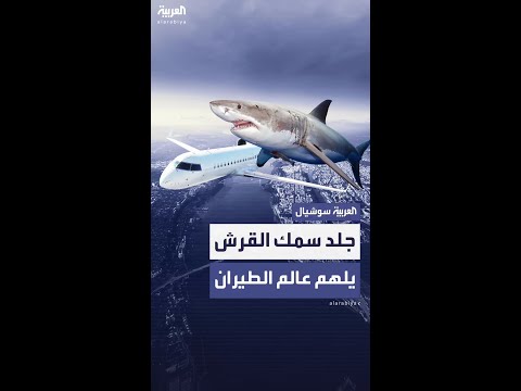 تقنية جديدة للطائرات تحاكي ملمس جلد القرش تقلل مقاومة الهواء وتخفض استهلاك الوقود