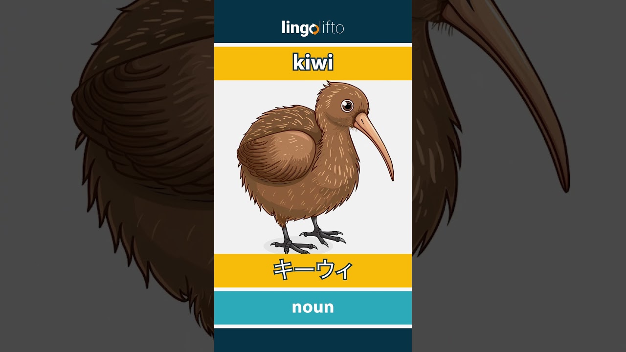 🇬🇧🇯🇵 kiwi - キーウィ : learn English : 英語を学ぼう