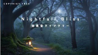 【商用利用可能/フリー素材/著作権フリー/BGM】Nightfall Bliss