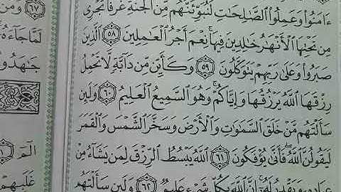 202- يللا نتعلم قراءة القرآن الكريم 53:69 سورة العنكبوت-1:5 الروم الجزء الحادي والعشرون-خالد فكري
