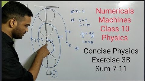 Numericals from Machines Class 10 Physics || ICSE || Physics || Exercise 3B || Pulleys
