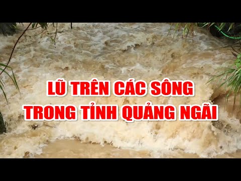 Lũ trên các sông trong tỉnh Quảng Ngãi | PTQ