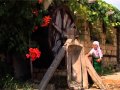 Оркестър Фолк магия Димитър си конче стяга Оркестър Фолк магия Димитър си конче стяга