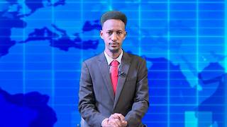 Warka Universal TV 17 06 2026