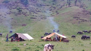 Most Peacefu Relaxing Mountain Village Lifestyle | Organic Shepherd Food | Shepherd Life | Real Life