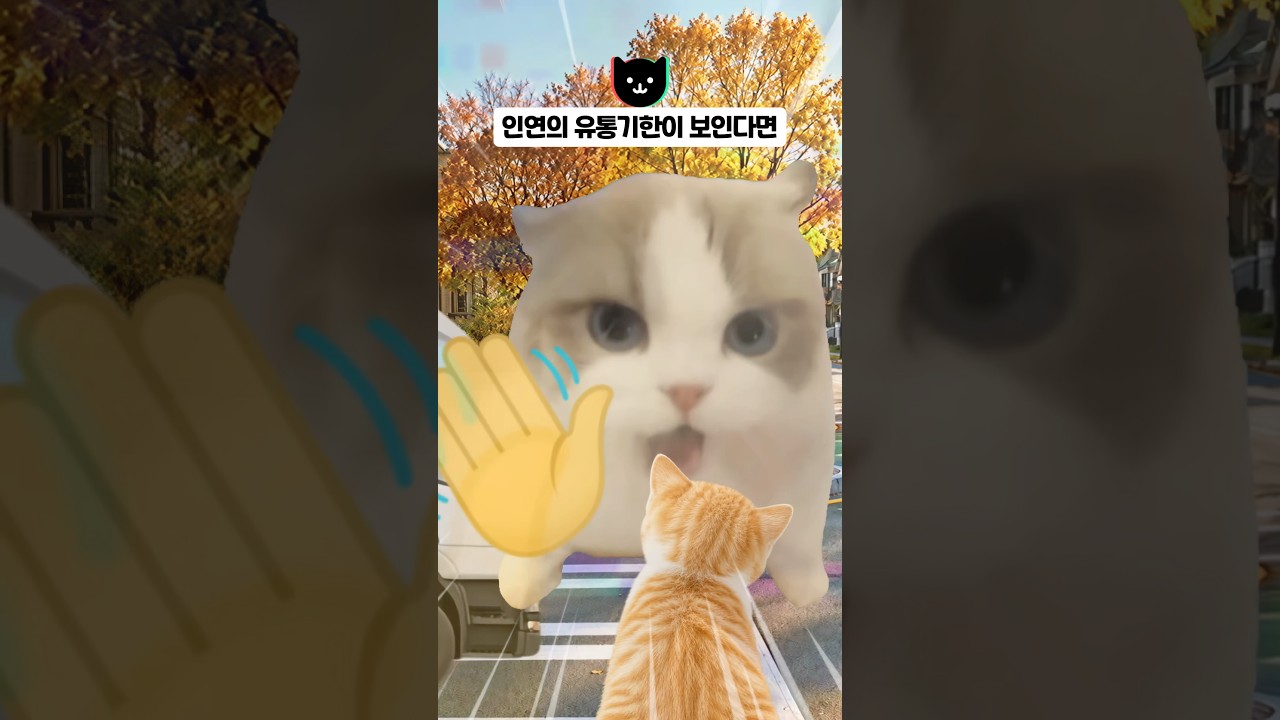 인연의 유통기한이 보인다면 ⏰