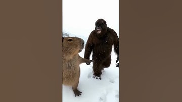 AI Animation Shorts – New Trending Story | 3D AI Animation