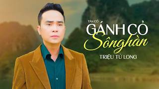 Hơi Dài Mút Chỉ Cà Tha Nghe Mà Nổi Da Gà | Tân Cổ Gánh Cỏ Sông Hàn - Triệu Tử Long