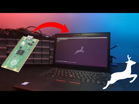 Libreboot Thinkpad T480 с Raspberry Pi Pico