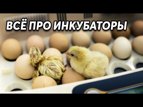 Видео: Каква е разликата между BOD и бактериологичния инкубатор?