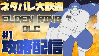 【ELDEN RING】影の地に殴りこみ【ネタバレ大歓迎】