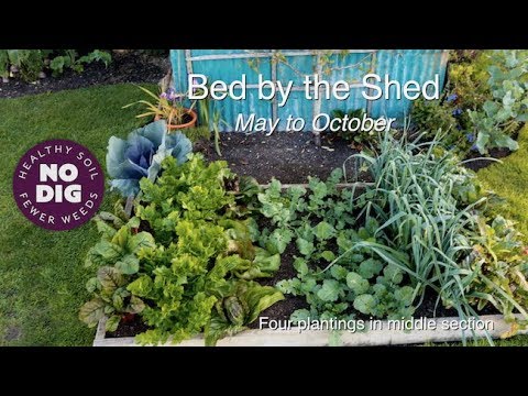 One bed – results of succession plantings all year