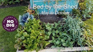 One bed – results of succession and interplantings all year