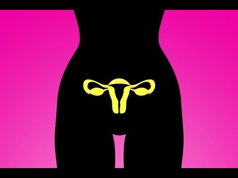 Как ухаживать за вагиной