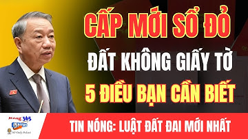 5 Trường Hợp Đất Không Giấy Tờ Vẫn Được Làm Sổ – Đừng Bỏ Lỡ!