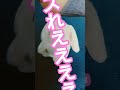 バズれ！zzzzzzzzz #うさぎ #YouTuber #かわいい #応援 #Marshmallow