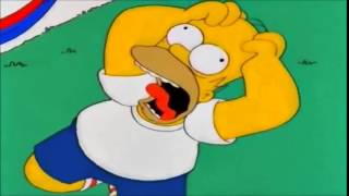 Homer Simpson Nooo