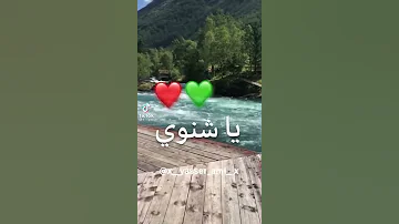 Jalil Palermo TIK TOK MCA يا شنوي صعيب الحال نتا مازالك نية باش نتسقمو محال 