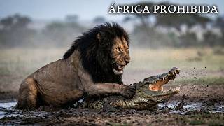 ÁFRICA PROHIBIDA | Los Animales Más Peligrosos que Nadie Conoce | Documental Animal ÁFRICA PROHIBIDA | Los Animales Más Peligrosos que Nadie Conoce | Documental Animal