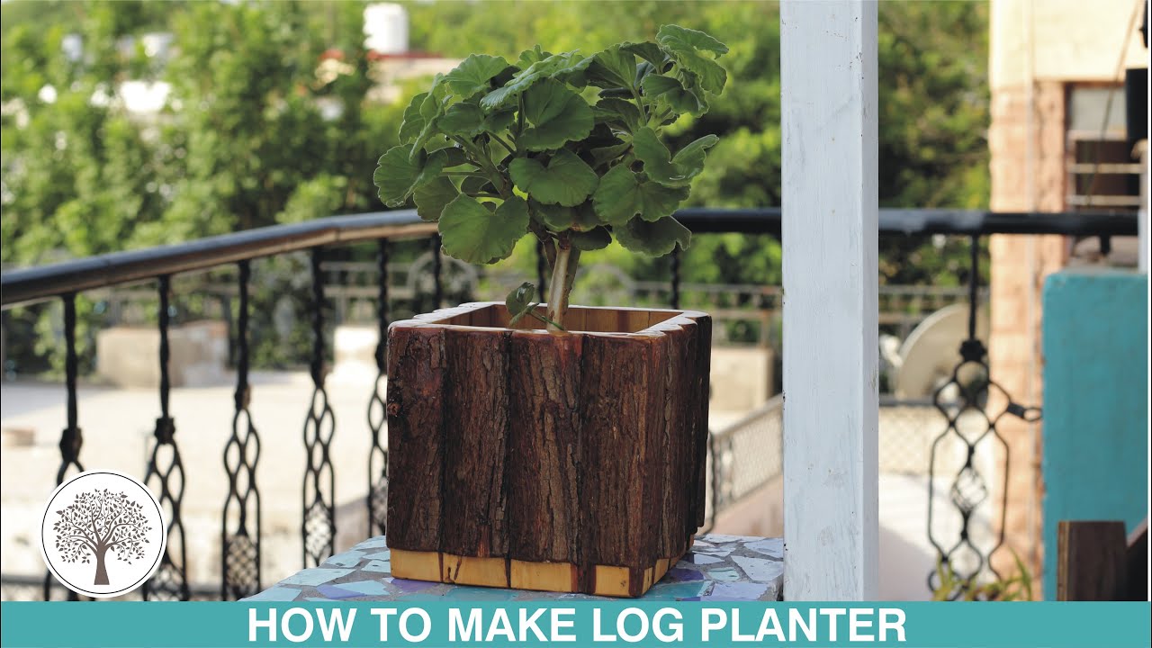 Log planter how to make - YouTube