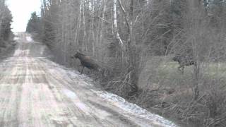 MVI_8287.AVI