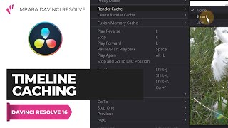 Timeline Caching | Edit | Davinci Resolve