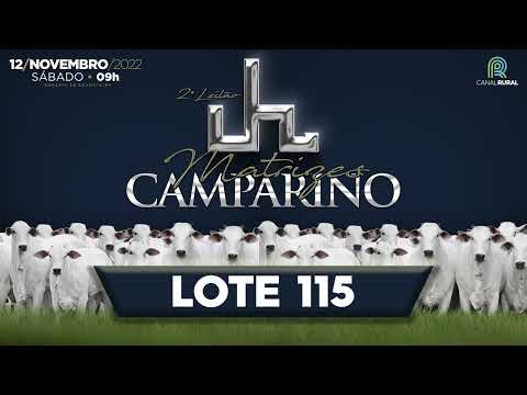 LOTE 115