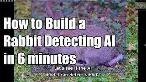 Build a rabbit-finding AI in 6 minutes without coding!