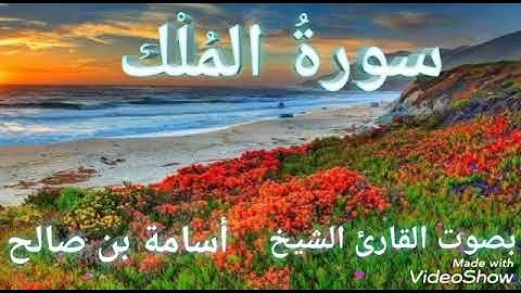 سورة الملك بصوت القارئ الشيخ أسامة بن صالح بفضل الله تعالى وتقبل الله منا ومنكم صالح الأعمال