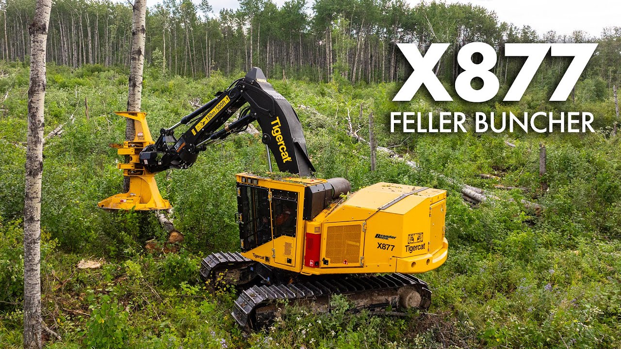 New Tigercat X877 Aspen Clear Fell