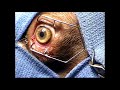 Cherry eye surgery movie