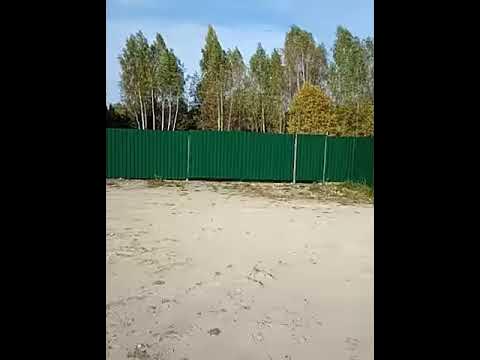 Битон - YouTube